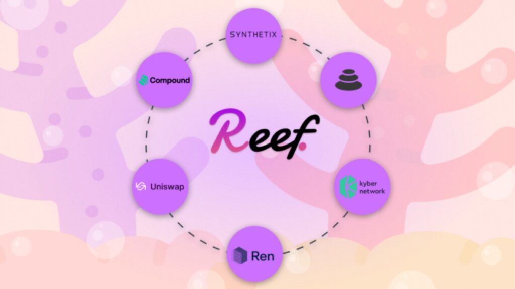 نمای پروتکل Reef و قابلیتها