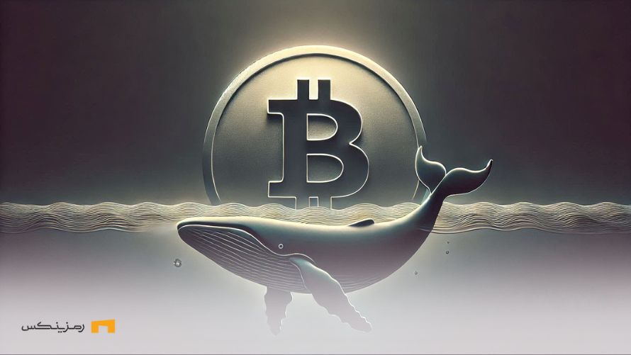 لیکوئید شدن یک نهنگ با ثبت اوج تاریخی جدید بیت کوین