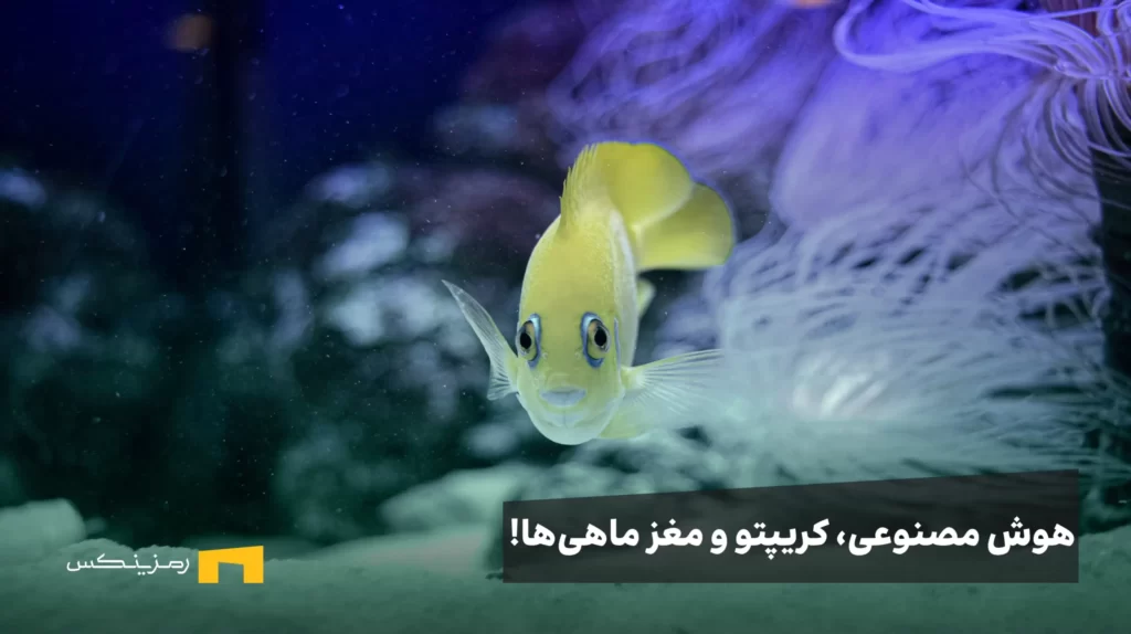 هوش مصنوعی، بازار کریپتو و مغز ماهی‌ها!