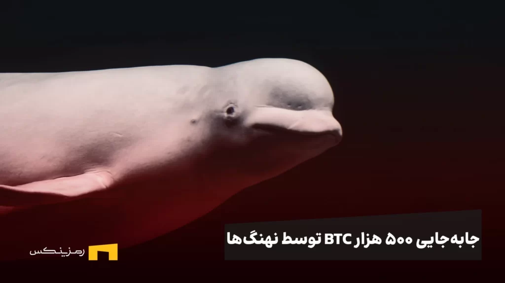 جابهجایی ۵۰۰ هزار BTC توسط نهنگها