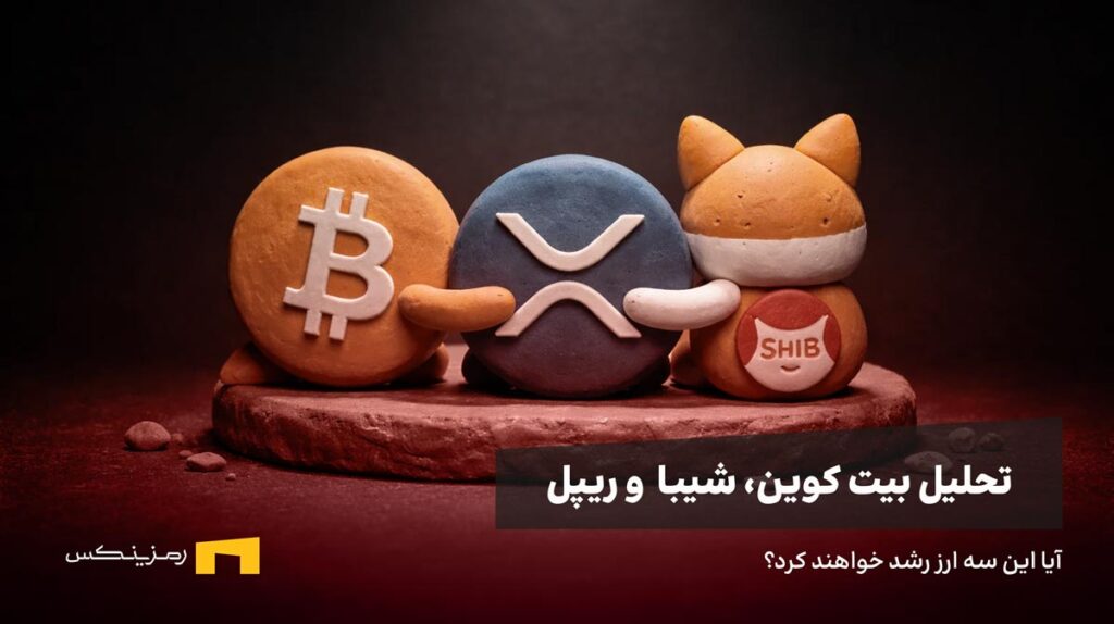 شیبا و ریپل و بیت کوین یکدیگر را بغل کردهاند.