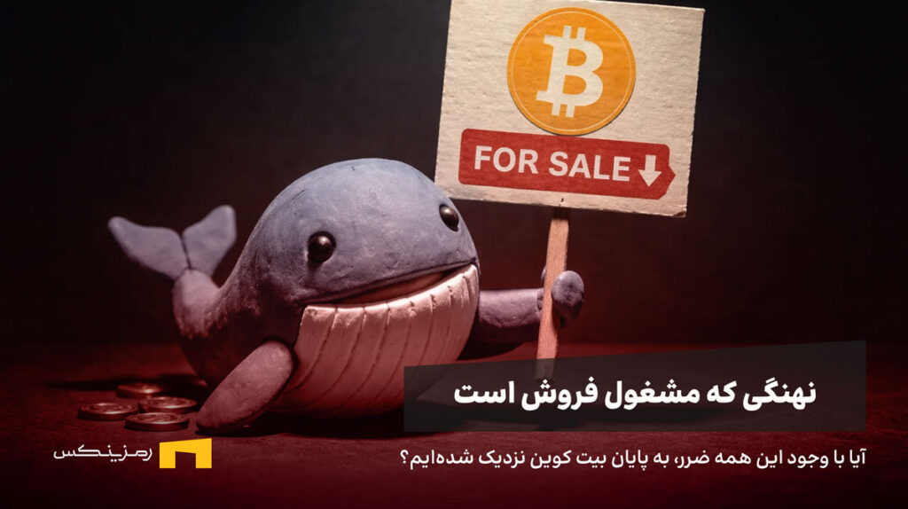 نهنگی با آگهی فروش بیت کوین در دست