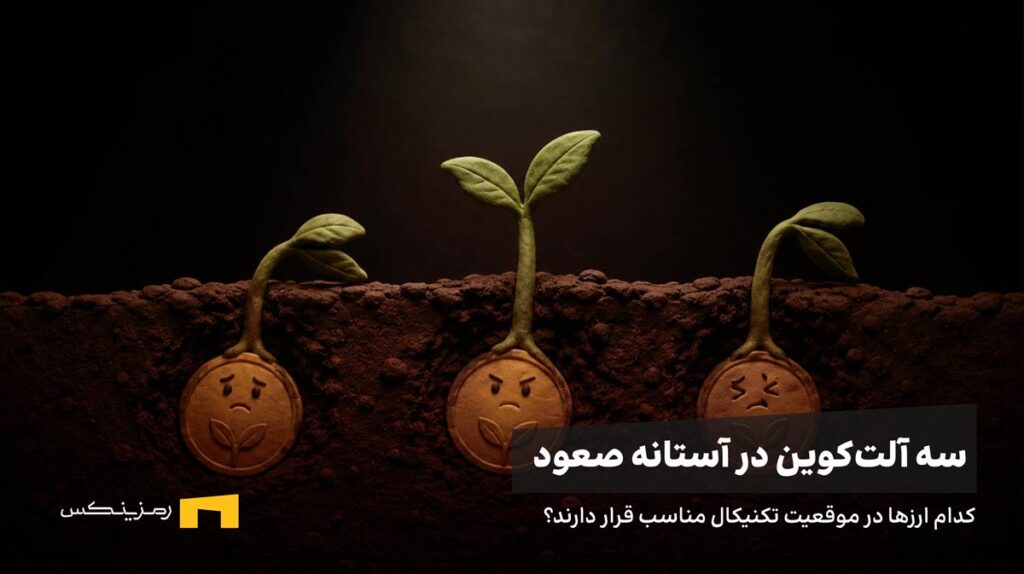 سه سکه زیر خاک که جوانه زدهاند